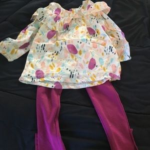 Toddler girl’s outfit- 3T